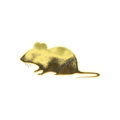 Fototapeta premium Shining golden Mouse, alpha channel