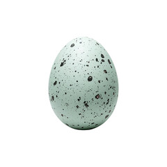 Speckled Bird Egg Isolated on White Background