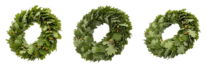 Set and collection of fresh green oak leaf wreaths and traditional floral crowns with acorns isolated on white transparent png background © Homelander