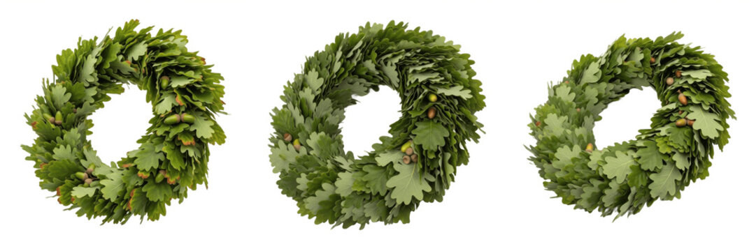 Set and collection of fresh green oak leaf wreaths and traditional floral crowns with acorns isolated on white transparent png background