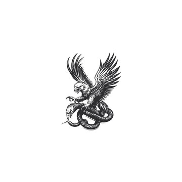 Vintage hand-drawn engraving of an eagle fighting a snake