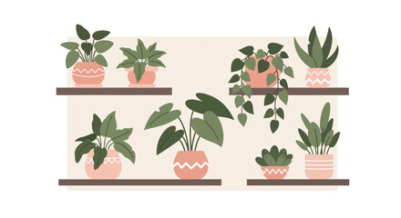 Collection of various potted houseplants on shelves in a modern flat cartoon style. © BerkahStock
