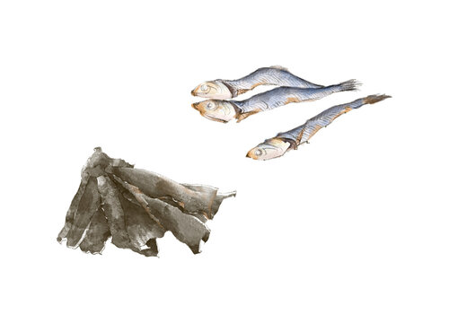 煮干しと出し昆布の手描きイラスト