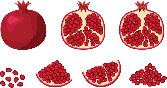 Pomegranate fruit collection with whole, cut and seed pieces, fresh red pomegranate slices and grains healthy food vector illustration set