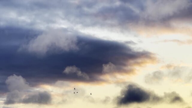 Four In Flight