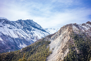 Fototapeta premium Panoramic view of the Annapurna Himalayan range in Nepal, featuring dramatic snow-covered peaks rising behind rugged ridges and pine-covered alpine slopes. The contrast between the forested hills