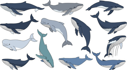 Obraz premium Whale Marine Animal Character Set with Different Swimming Poses, Ocean Wildlife Mammals and Underwater Elements Cartoon Vector Illustration Collection for Nature Designs.