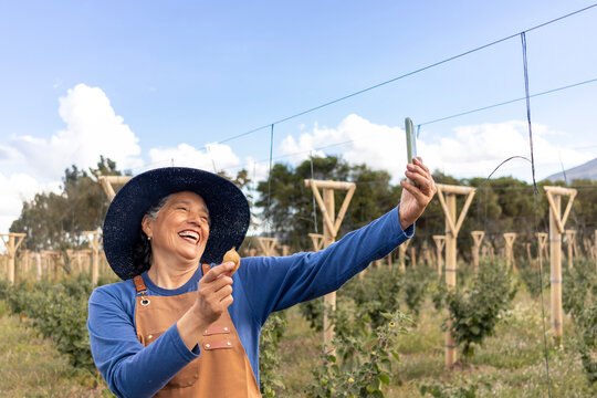Mature female farmer happily taking self portrait with smartphone in organic farm, showing fresh harvest, embracing technology and sustainable agriculture