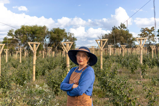 Mature female farmer standing in a field with physalis plants, wearing a hat and apron, representing organic agriculture and sustainable farming practices