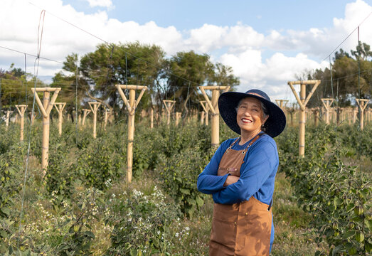 Smiling senior latin american farm woman standing confidently in her thriving organic tomatillo field, proud of sustainable farming, healthy harvests and rural entrepreneurship