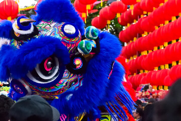 Close up view of a Chinese lion dance performance. A traditional symbol of prosperity, often seen in festivals, Chinese New Year, and cultural celebrations. half. red lanterns, lantern. Grebeg Sudiro. © Muhammad