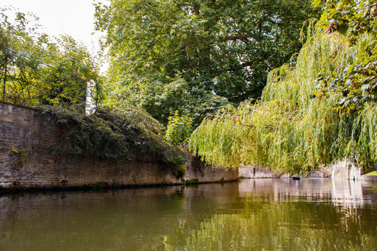 Tree overhanging a canal with architecture peeking out from under the branches. A hill resides off to one side of the canal