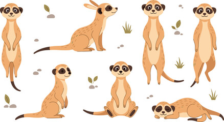 Cute Meerkat Character Set with Standing, Sitting and Resting Poses Featuring Desert Habitat Elements Cartoon Wildlife Vector Illustration Collection for Kids Designs. © MstSuborna