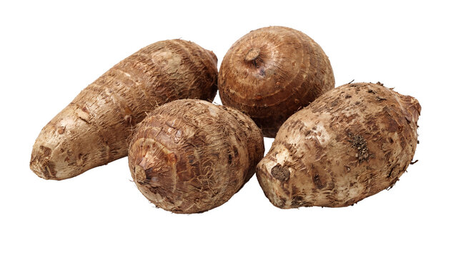 A collection of four fresh brown taro roots, isolated on a clean transparent background.