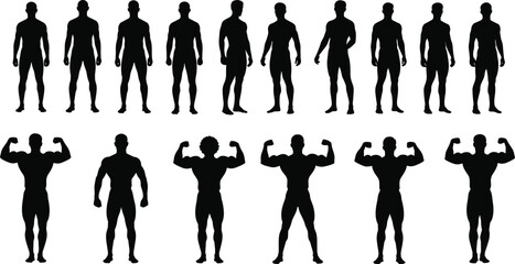 Naklejka na ściany i meble Set of male body silhouettes in various poses, athletic men standing and flexing muscles, diverse anatomical figures on white