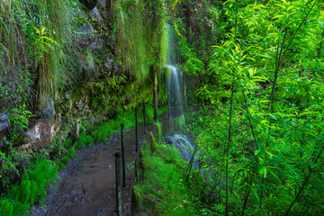 This image captures a beautiful section of the Levada do Alecrim in the Rabaçal valley of Madeira, Portugal. © Miroslav Srb