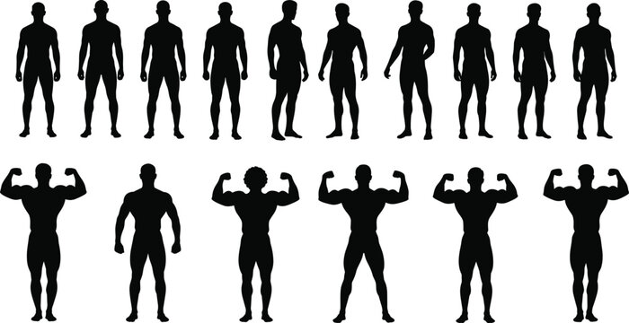 Set of male body silhouettes in various poses, athletic men standing and flexing muscles, diverse anatomical figures on white