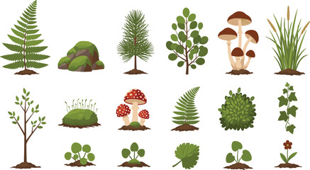 Forest Plants and Nature Elements Illustration Set Featuring Trees, Ferns, Mushrooms, Bushes, Grass, and Wild Vegetation for Botanical and Woodland Design. © MdNazmul