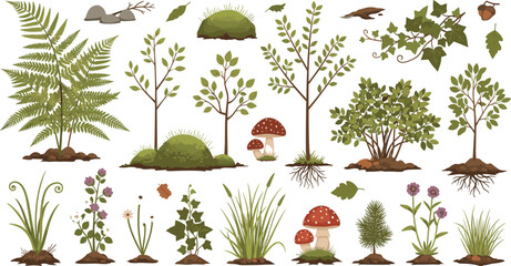 Forest Plants and Woodland Nature Elements Illustration Set Featuring Trees, Ferns, Bushes, Mushrooms, Grass, and Wild Vegetation for Botanical Design. © MdNazmul