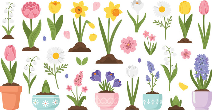 Spring Garden Flowers Illustration Set Featuring Tulips, Daffodils, Hyacinths, Daisies, Lily of the Valley, and Potted Floral Plants for Botanical Design.