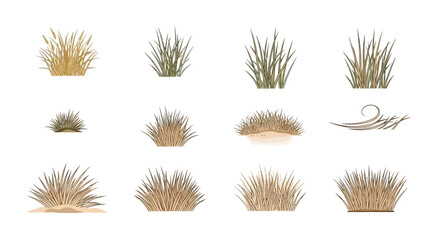 Obraz premium Hand-drawn collection of stylized grass tufts and dry bush illustrations on white background. Minimalist vector elements for nature landscape and garden design