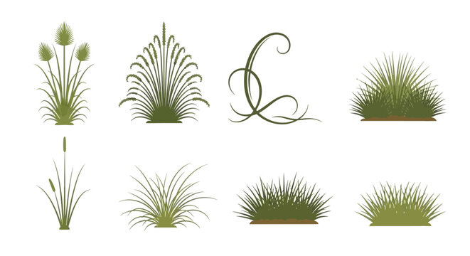 Set of green grass silhouettes and botanical plant icons isolated on white background for landscape design, garden architecture, nature illustrations, and art.