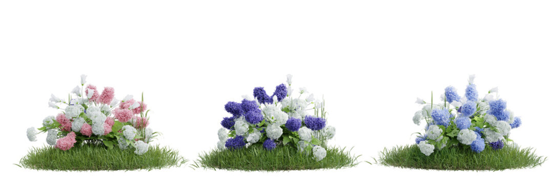Vibrant hydrangea flowers and green grass patches isolated on transparent background 3d rendering png