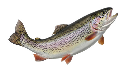 Obraz premium Vibrant rainbow trout (Oncorhynchus mykiss) captured in motion, isolated on a transparent background.
