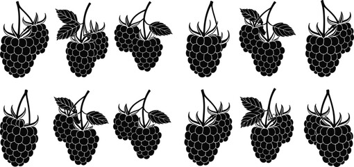 Blackberry fruit icons set, fresh berry collection illustration, organic garden fruit symbol, vector silhouette isolated design © MdShafe