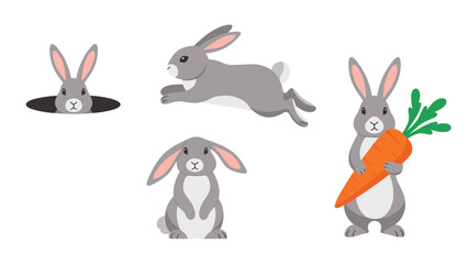 Fototapeta premium Collection of four grey rabbit illustrations showing different poses such as peeking out of a hole, jumping, sitting, and holding a carrot.