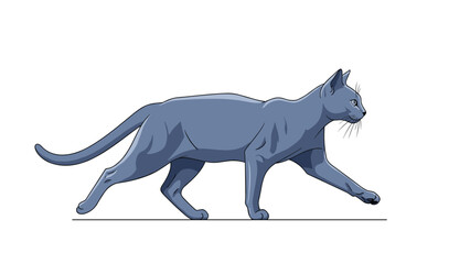 Fototapeta premium Profile view of a sleek grey cat walking gracefully across a white surface with its tail extended and a focused expression on its face.