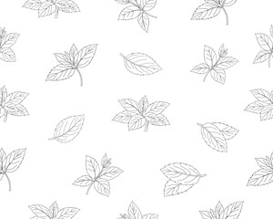 Mint leaves seamless pattern. Herbal mint foliage background. Fresh mint botanical repeat pattern. Aromatic herb leaves texture. Green culinary ingredient pattern. Natural herbal foliage wallpaper. © Ani