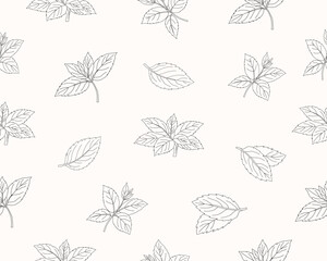 Mint leaves seamless pattern. Herbal mint foliage background. Fresh mint botanical repeat pattern. Aromatic herb leaves texture. Green culinary ingredient pattern. Natural herbal foliage wallpaper. © Ani