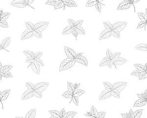Mint leaves seamless pattern. Herbal mint foliage background. Fresh mint botanical repeat pattern. Aromatic herb leaves texture. Green culinary ingredient pattern. Natural herbal foliage wallpaper. © Ani