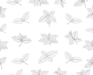 Mint leaves seamless pattern. Herbal mint foliage background. Fresh mint botanical repeat pattern. Aromatic herb leaves texture. Green culinary ingredient pattern. Natural herbal foliage wallpaper. © Ani
