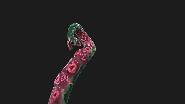 3D Illustration of Monstrous deep-sea tentacle featuring sharp teeth, pink suckers, and slimy green skin. Ideal for horror and sci-fi projects.