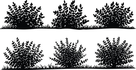 Bush silhouette vector set, black shrub plants on grass for garden landscaping and outdoor nature design © Al