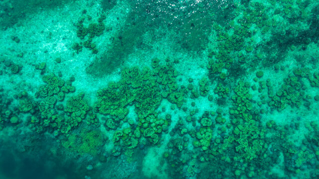 Top view of natural coral formations in shallow sea water with rippling sun reflections, perfect for summer vacation, snorkeling, and environmental conservation themes. concept environment lagoon.	
