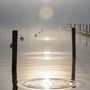 Diffusion Harbor Mist. Foggy bay reveals AI denoise rings from buoys