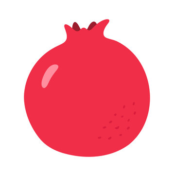 pomegranate fresh fruit vector illustration healthy food 