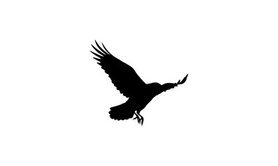 Obraz premium Flying Bird Silhouette Isolated Wildlife Vector Illustration