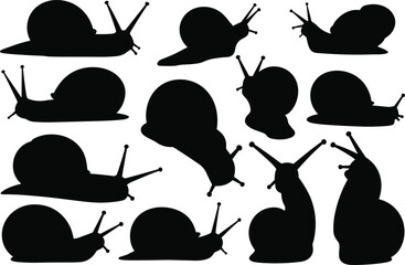 Snail silhouettes collection, garden snail shapes set, crawling mollusk vector icons, slug animal black silhouette illustration, nature wildlife clipart © Noman