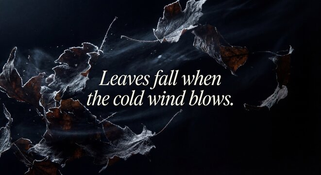 Dark brittle leaves blowing away into the shadows with a poetic typography quote about fair-weather friends and temporary relationships.