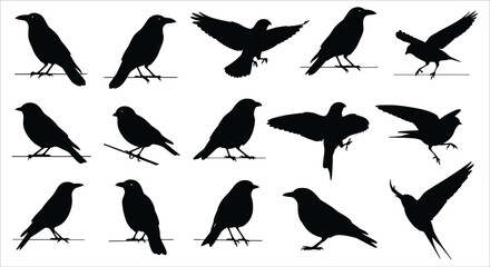 Naklejka premium A collection of black silhouettes depicting various poses of crows and ravens