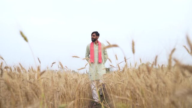 Young Indian farmer standing at wheat agriculture field 