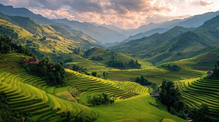 Lush Green Rice Terraces of Sapa Valley, Vietnam, at Sunset.