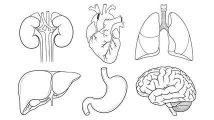 Czech Republic map silhouette with internal regional borders shown in white against a white background