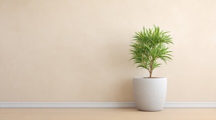 Fototapeta premium Lush Green Potted Plant in Minimalist Interior Setting with Soft Neutral Wall and Wooden Flooring for Contemporary Decor