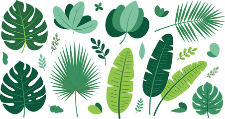 Tropical green leaves collection with monstera, palm and banana foliage, botanical jungle plants illustration set for nature design © MdNazmul