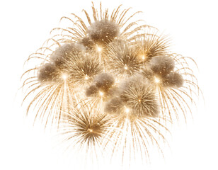 Fototapeta premium Golden Celebration Fireworks Sparkle Set